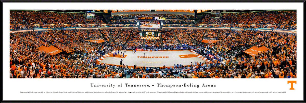 Basketball Framed Panorama Print